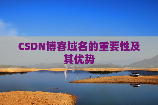 CSDN博客域名的重要性及其优势